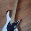 Dingwall NG2 5 String Ducati White