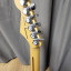 Fender stratocaster american professional I