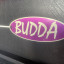 Budda Superdrive 30 Series II Head Pre Peavey