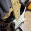 Fender stratocaster american professional I