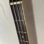 Bajo Electro-Acustico Epiphon El Capitan C4