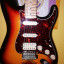 Fender Stratocaster Standard Mex