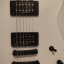 Charvel Joe Duplantier