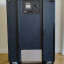 Ampli bajo Ampeg SVT-3 Pro + 610 HLF Classic