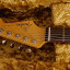 Fender Michael Landau Signature "Coma" Stratocaster