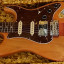 Fender Michael Landau Signature "Coma" Stratocaster