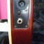 Godin Multiac Nylon Duet