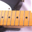 Fender Telecaster Standard TL-354 Made in Japan Vintage ´87