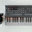 Roland SE-02 + K-25m + Decksaver