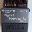 Boss RV-2  (reverbs)