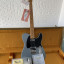 Fender Telecaster Esquire ltd 50s Custom Shop Relic, pickups Abigail Ybarra
