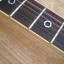 o cambio Schecter Shaun Morgan Signature modificada + Gibson 57 + estuche modificada, con control Tono
