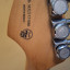 FENDER PLAYER PLUS , HSS