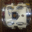 Tom PEARL All Maple Shell 10x8