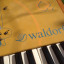 Waldorf Q