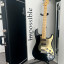 Fender Stratocaster Standar EEUU (Año 2014) / o cambio