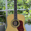 Walden Guitarra  Electroacústica