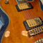 Ibanez PF400.(Cambio por SG)