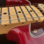 Fender Stratocaster Deluxe Player MIM 2009