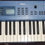 Yamaha CS1x