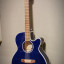 Takamine G Series