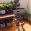 VENDO Tokai LS 186 70th Anniversary