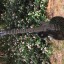 Gibson Les Paul Gothic