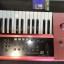 Korg karma teclado + expansion PCM Trance