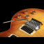 Gibson Les Paul Standard Axcess Floyd Rose