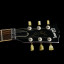 Gibson Les Paul Standard Axcess Floyd Rose