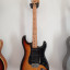 Fender Stratocaster 1979