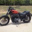 Harley Davidson Sportster iron 883