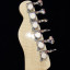 Aga Guitars Telecaster