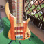 Merlos Standard Custom 5