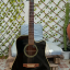 Takamine G Series EG321