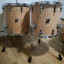 SONOR SQ2 Scandinavian Birch Semigloss