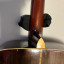 Acustica Morris W 20
