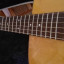 Cambio Guitarra acústica Avalon DS200E..