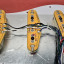 Golpeador con Fender Noiseless Gen4