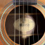 Acustica Morris W 20