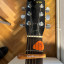 Acustica Morris W 20