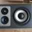 Monitores Barefoot Footprint03