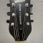 Electroacústica Gretsch New Yorker