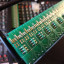 Patch bay bantam ( Pinanson)