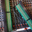 Patch bay bantam ( Pinanson)