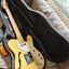 Fenix telecaster thinline  by Young Chang