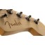 Fender Stratocaster Reclaimed Redwood Edición Limitada USA