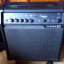 Amplificador Line 6 spider V MkII 30W