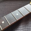 Reservado Mástil Stratocaster Allparts