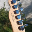 Squier telecaster vintage modified thinline